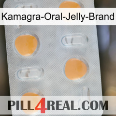 Kamagra-Oral-Jelly-Brand 24